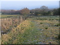 Footpath at Higher Gamesley