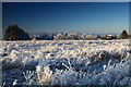 Hard frost on fields at Drumossie above Inverness.