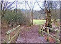 The Robin Trail in Kingsford Forest Park