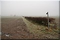 Frosty footpath