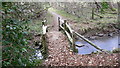 SU9821 : Footbridge near Byworth by Shazz