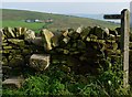 Stone wall stile on Pennine Way.