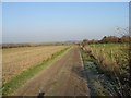 Bridleway and farm track