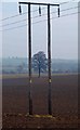 The lonely tree framed by power cable supports