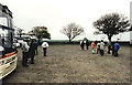 Coach park, Holy Island