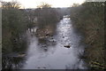 River Isla below Den of Airlie in winter