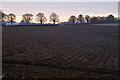 Winter fields, near Ruthven