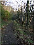NS1968 : Footpath by the Kelly Burn by Thomas Nugent