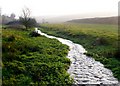 River Piddle, Alton Pancras