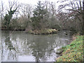 Pond with Island