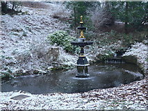 SD6728 : Frozen fountain by Tony  Mercer
