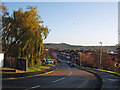 Yew Tree Hills, Netherton.