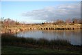 Pond at Burton Fen