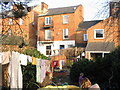 Middleton Road Houses from back gardens