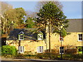 Cottage in Dornoch