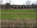 Railway bridge at Trent Lock Golf Course