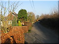 View along The Street, Adisham