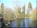 Jubilee Pond, Alfold