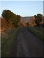 Stoney Lane, East Harlsey