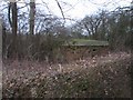 SU6092 : Behind the hedge by Bill Nicholls