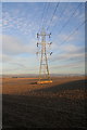 Powerline near Ingliston