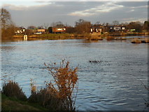 SK4631 : Houses on the Trent at Sawley by Andy Jamieson