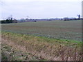 Looking across the fields from Pepperwash Lane