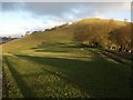 Field below Cefn Gunthly