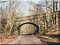 Stone footbridge over the former Rishworth branch