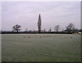 Twineham Recreation Ground