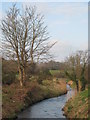 The River Hayle at Relubbus