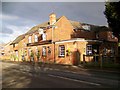 The Snakecatcher, Brockenhurst