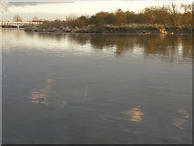 SK4631 : The Trent at Sawley by Andy Jamieson