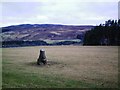 NO0956 : Balnabroich standing stone by Rob Woodall