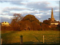 Field at Sawley