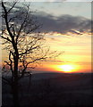 A tree silhouetted in Glen Prosen