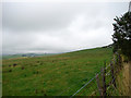 Pasture near Garn-wen