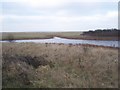 Dyke in Grain Marsh