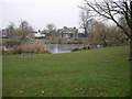 Pond on Ham Common