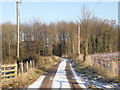 Country lane, Goodrich