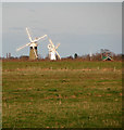 TG3915 : Two mills by the River Bure by Evelyn Simak