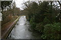 The Bridgewater Canal, looking East from Walton Bridge