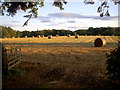 NO3959 : Field in evening sun by Freethinker