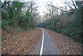 The old Exmouth to Budleigh Salterton Railway (2)