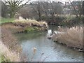 River Erewash at Toton