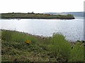 G9819 : Headland on Lough Allen by Oliver Dixon