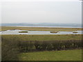 SO7105 : Wetland Wildlife Reserve Slimbridge beside the Severn by Dr Duncan Pepper
