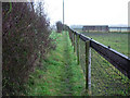 Footpath near Brinkley