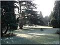 Christchurch park in winter