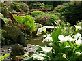 The Water Garden, Compton Acres